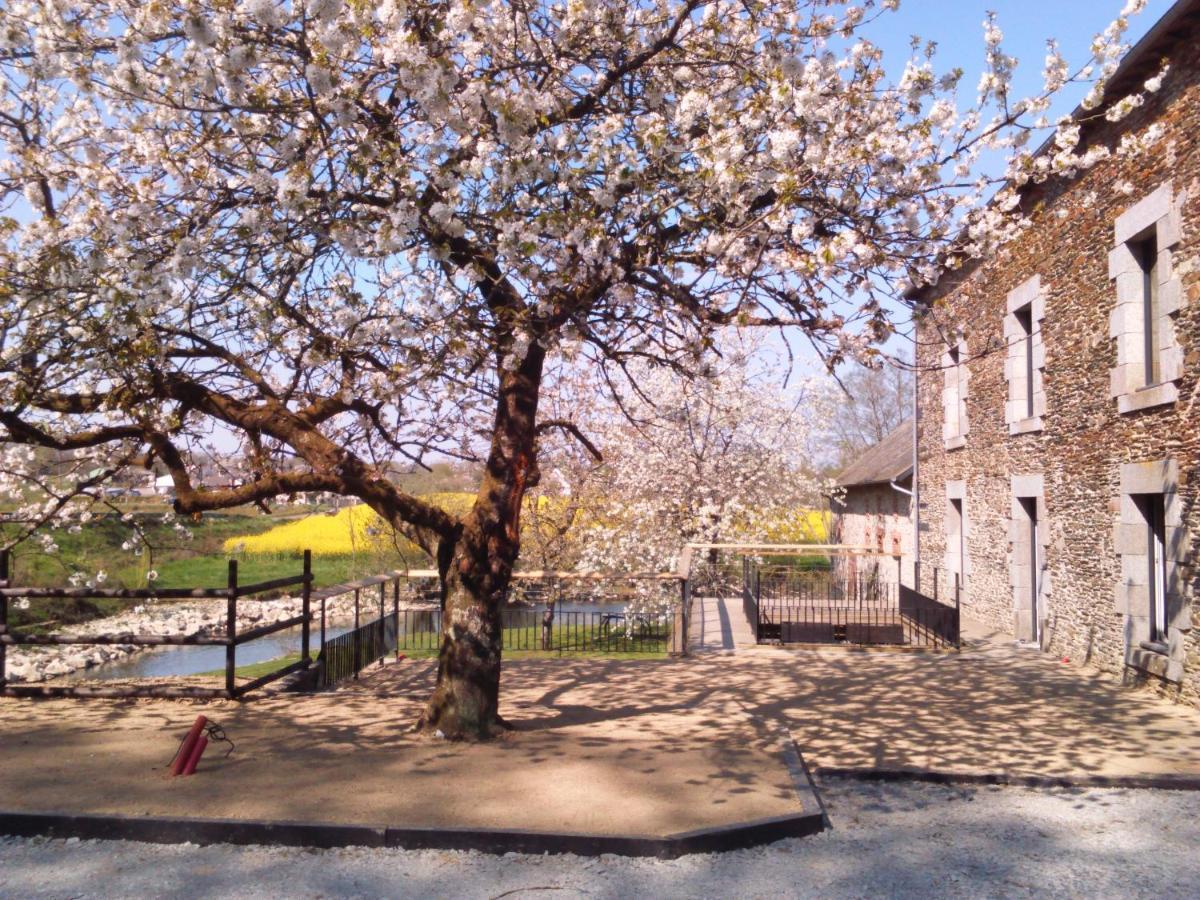 Le Moulin De Bretigneul Bed & Breakfast Saint-Aubin-des-Landes ภายนอก รูปภาพ